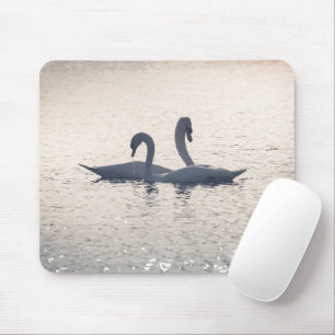 Mousepad Cortejando a natureza dos cisnes