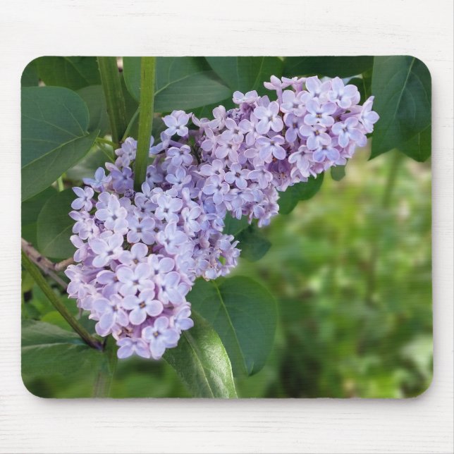 Mousepad cortina lilática (Frente)