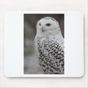 Mousepad Coruja