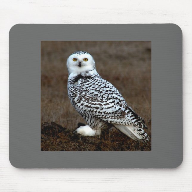 Mousepad Coruja (Frente)
