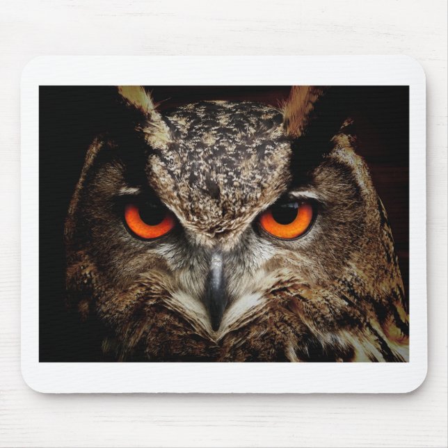Mousepad Coruja (Frente)