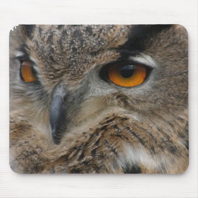 Mousepad Coruja (Frente)