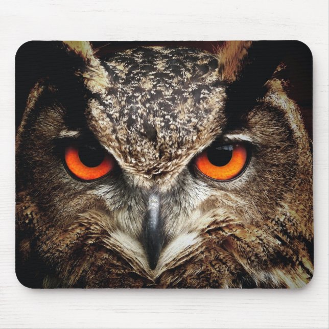 Mousepad - Coruja (Frente)