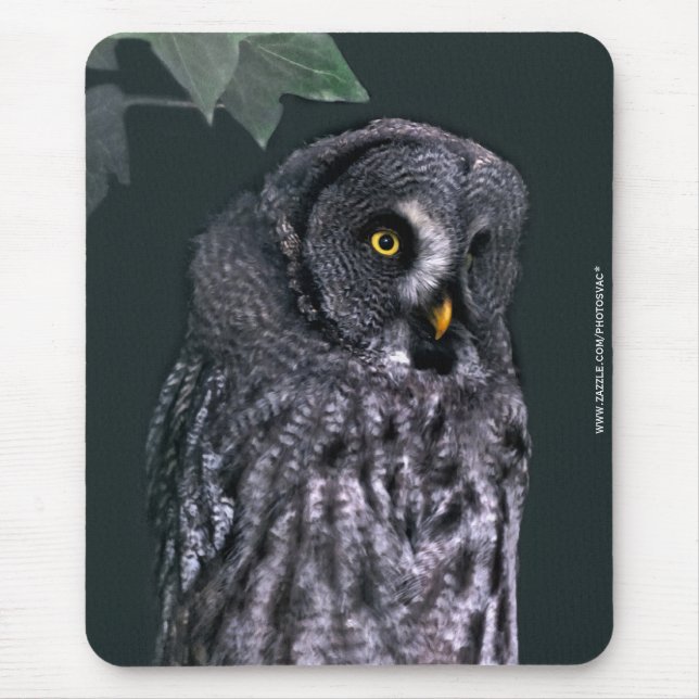 Mousepad Coruja Cinzenta Grande (Frente)