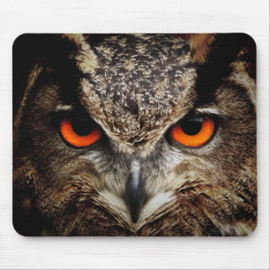 Mousepad Coruja com Cor de Olhos Laranja