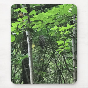 Mousepad Coruja das Árvores, Oregon