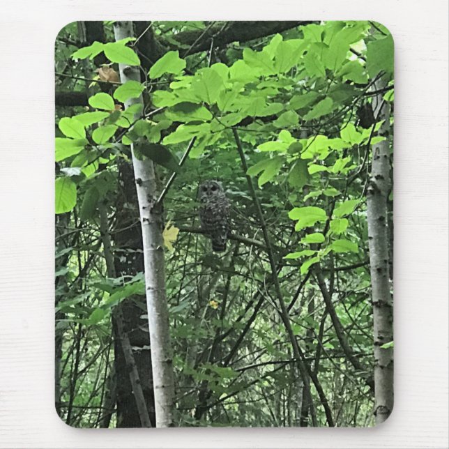 Mousepad Coruja das Árvores, Oregon (Frente)
