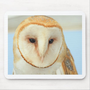 Mousepad Coruja-de-bico