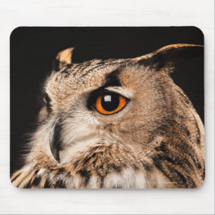 Mousepad Coruja de Eagle do Eurasian