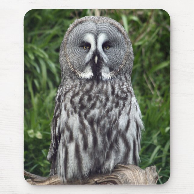Mousepad Coruja de grande cinza (Frente)
