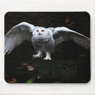 Mousepad Coruja de Neve com Asas Abertas mpcnm