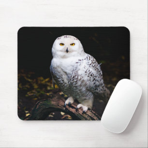Mousepad Coruja de neve majestosa no inverno