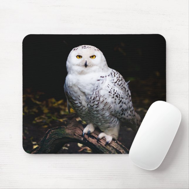 Mousepad Coruja de neve majestosa no inverno (Com mouse)