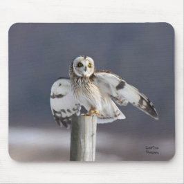 Mousepad Coruja de Olhos Curtos 2