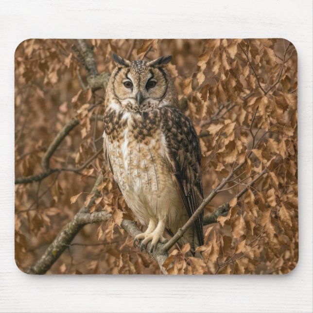 Mousepad Coruja-de-orelha-longa se Escondendo em Folhas Cas (Frente)