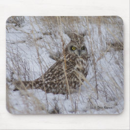 Mousepad Coruja-de-orelhas-curtas B11