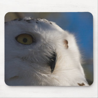 Mousepad Coruja de Snowy White