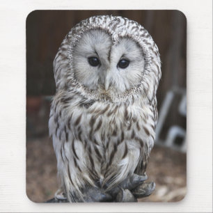 Mousepad Coruja de Ural