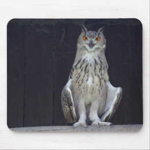 Mousepad Coruja Excelente