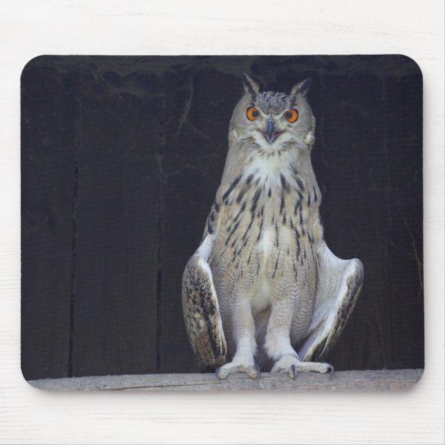 Mousepad Coruja excelente (Frente)