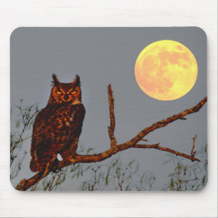 Mousepad Coruja excelente Lua cheia