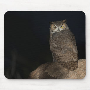 Mousepad Coruja-grande no quintal