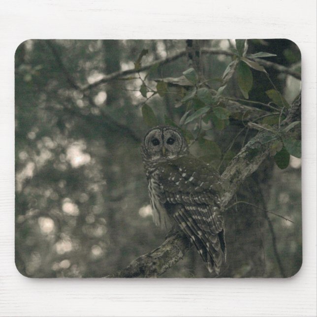 Mousepad Coruja na Floresta (Frente)