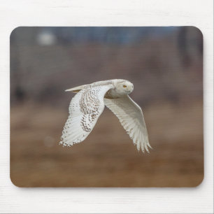Mousepad Coruja nevado em vôo