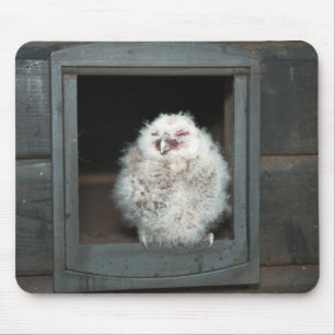 Mousepad Coruja Tawny