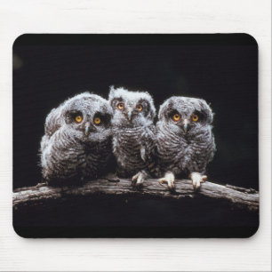 Mousepad Corujas