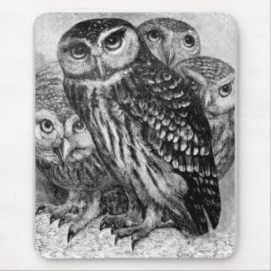 Mousepad Corujas, gravura do vintage
