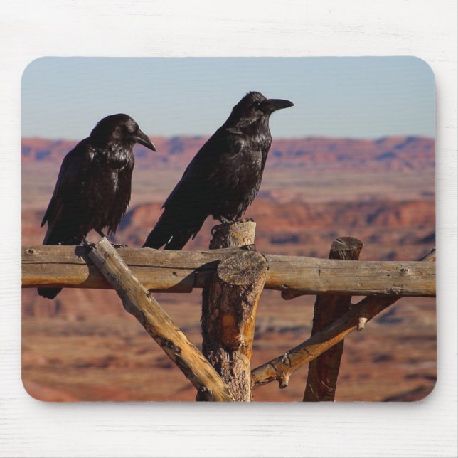 Mousepad Corvo do deserto (Frente)