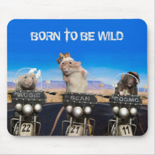 Mousepad Cosmo, Augie e Bean - Nascer de ser selvagem