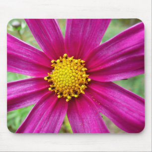 Mousepad Cosmos Wildflower