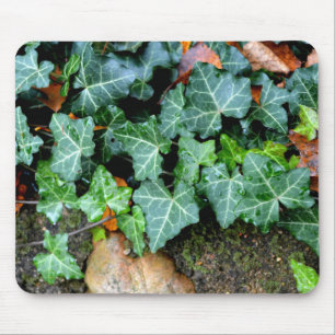 Mousepad Costa do Marfim verde e pedra de campo