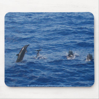 Mousepad Costa noroeste do ~ dos golfinhos de Lanai