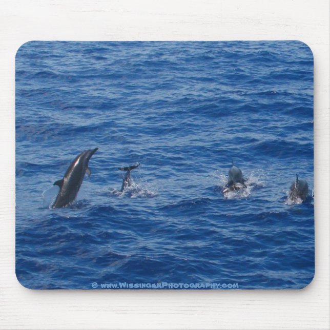 Mousepad Costa noroeste do ~ dos golfinhos de Lanai (Frente)