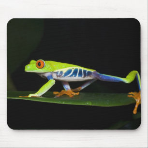 Mousepad Costa Rica, Perereca-de-olhos-vermelhos (Agalychni