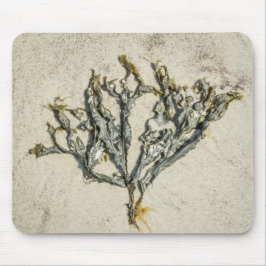 Mousepad Costeira Maine Seaweed em uma praia Sandy