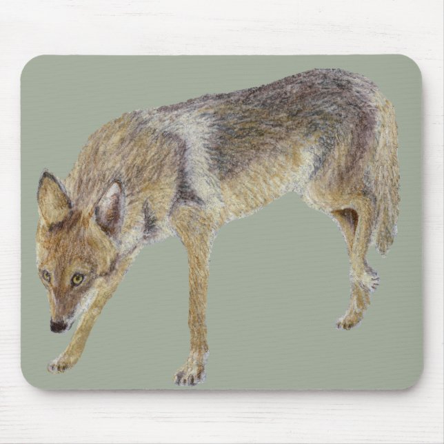 Mousepad Coyote (Frente)