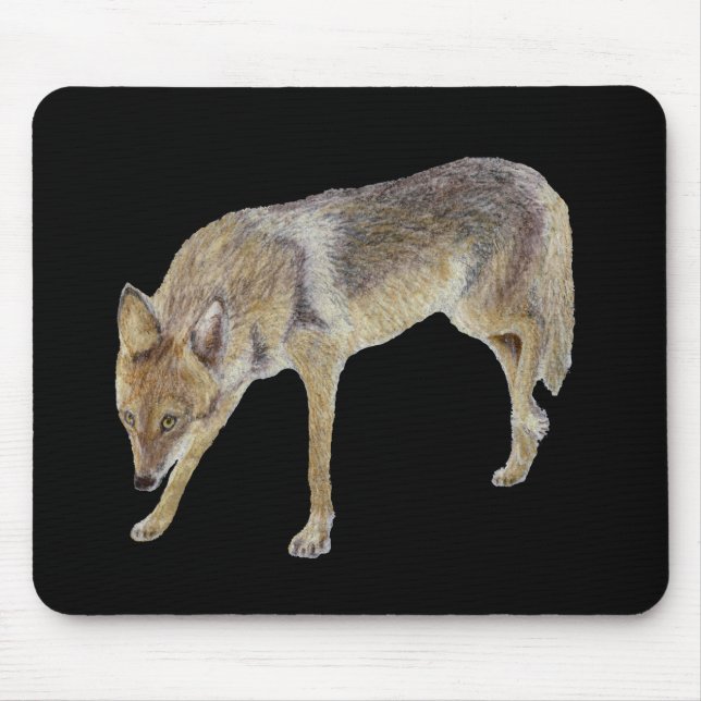 Mousepad Coyote (Frente)