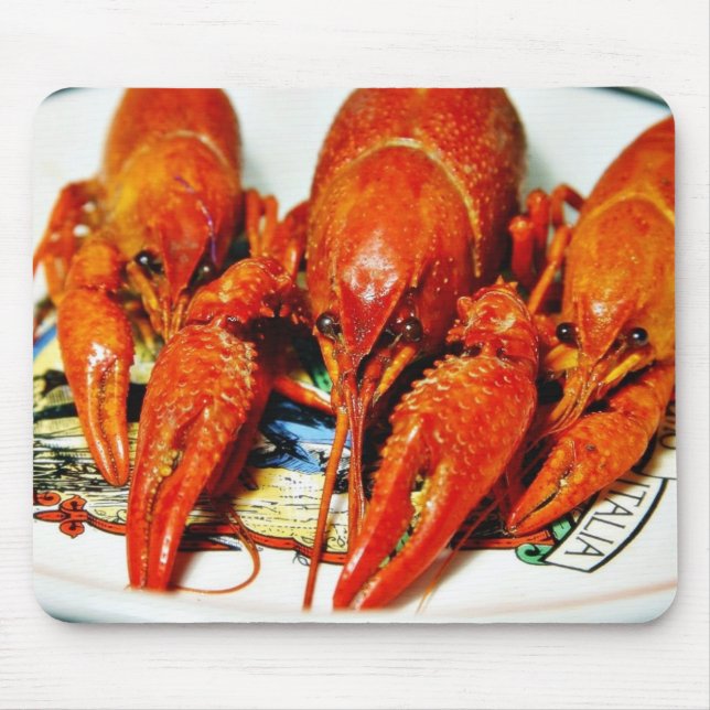 Mousepad Crawdads Craytfish dos lagostins (Frente)