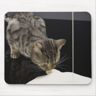Mousepad Creme de prata do bebendo do gato de gato malhado
