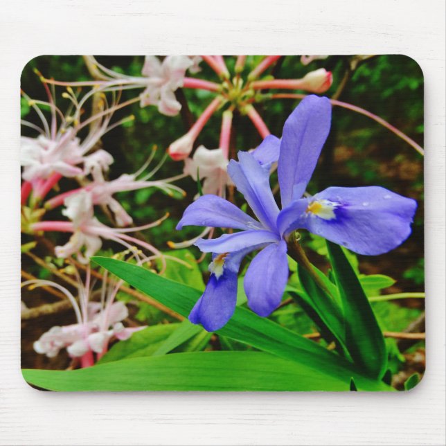 Mousepad Crested Dwarf Iris (Frente)