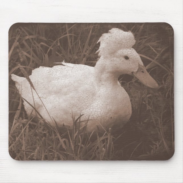 Mousepad Crestie o Pato Crestudo (Frente)