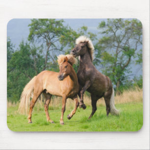 Mousepad Criação e reprodução de cavalos da Islândia