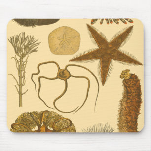 Mousepad Criaturas do Mar Subaquático