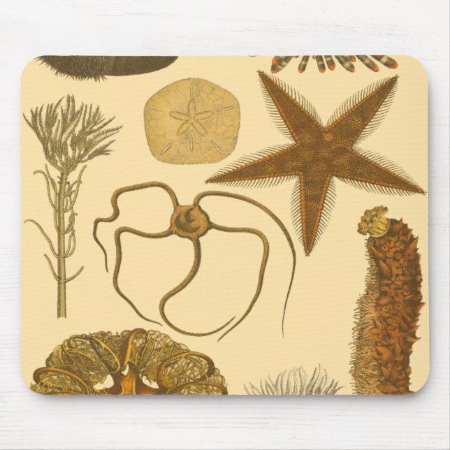 Mousepad Criaturas do Mar Subaquático (Frente)