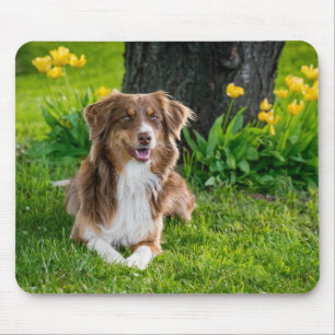 Mousepad Crie a sua própria foto do Pet