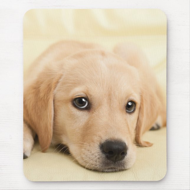 Mousepad Crie Sua Própria Foto Personalizada de Animal de E (Frente)